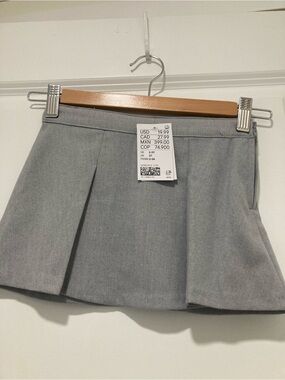 H&M Gray Pleated Mini Skirt